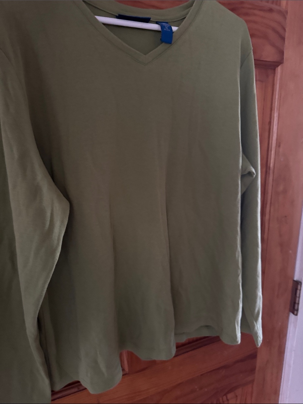 Karen Scott Olive Green V-Neck Top